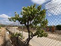 Villa avec 4 chambres et 2 salles de bain, grand terrain avec espace pour piscine, écuries ou entreprise in Spanish Fincas