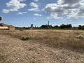 Villa avec 4 chambres et 2 salles de bain, grand terrain avec espace pour piscine, écuries ou entreprise in Spanish Fincas