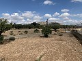 Villa avec 4 chambres et 2 salles de bain, grand terrain avec espace pour piscine, écuries ou entreprise in Spanish Fincas