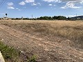 Villa avec 4 chambres et 2 salles de bain, grand terrain avec espace pour piscine, écuries ou entreprise in Spanish Fincas