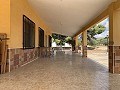 Villa avec 4 chambres et 2 salles de bain, grand terrain avec espace pour piscine, écuries ou entreprise in Spanish Fincas