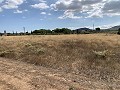 Villa avec 4 chambres et 2 salles de bain, grand terrain avec espace pour piscine, écuries ou entreprise in Spanish Fincas