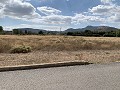 Villa avec 4 chambres et 2 salles de bain, grand terrain avec espace pour piscine, écuries ou entreprise in Spanish Fincas