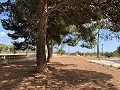 Villa avec 4 chambres et 2 salles de bain, grand terrain avec espace pour piscine, écuries ou entreprise in Spanish Fincas