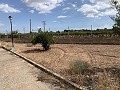 Villa avec 4 chambres et 2 salles de bain, grand terrain avec espace pour piscine, écuries ou entreprise in Spanish Fincas