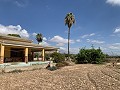 Villa avec 4 chambres et 2 salles de bain, grand terrain avec espace pour piscine, écuries ou entreprise in Spanish Fincas
