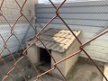 Villa avec 4 chambres et 2 salles de bain, grand terrain avec espace pour piscine, écuries ou entreprise in Spanish Fincas