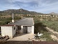 Maison de campagne de 3 chambres, grand garage et à 10 minutes à pied de la ville de Barinas in Spanish Fincas