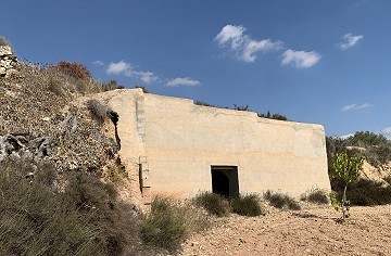 Casas cueva en gran parcela, proyecto de reforma cerca del pueblo