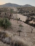 Casas cueva en gran parcela, proyecto de reforma cerca del pueblo in Spanish Fincas