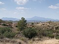 Casas cueva en gran parcela, proyecto de reforma cerca del pueblo in Spanish Fincas