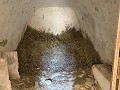 Casas cueva en gran parcela, proyecto de reforma cerca del pueblo in Spanish Fincas