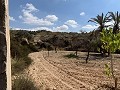 Casas cueva en gran parcela, proyecto de reforma cerca del pueblo in Spanish Fincas