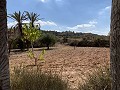 Casas cueva en gran parcela, proyecto de reforma cerca del pueblo in Spanish Fincas