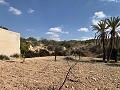 Casas cueva en gran parcela, proyecto de reforma cerca del pueblo in Spanish Fincas