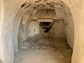 Casas cueva en gran parcela, proyecto de reforma cerca del pueblo in Spanish Fincas