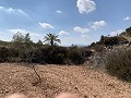 Casas cueva en gran parcela, proyecto de reforma cerca del pueblo in Spanish Fincas