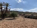 Casas cueva en gran parcela, proyecto de reforma cerca del pueblo in Spanish Fincas