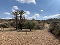 Casas cueva en gran parcela, proyecto de reforma cerca del pueblo in Spanish Fincas