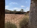 Casas cueva en gran parcela, proyecto de reforma cerca del pueblo in Spanish Fincas
