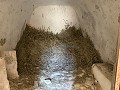 Casas cueva en gran parcela, proyecto de reforma cerca del pueblo in Spanish Fincas