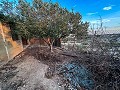 Villa con Piscina y mitad Cueva con Barbacoa y Garaje en La Alcoraya in Spanish Fincas