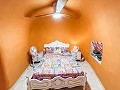 Villa con Piscina y mitad Cueva con Barbacoa y Garaje en La Alcoraya in Spanish Fincas