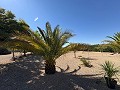 Moderne autarke Villa mit Pool in Biar in Spanish Fincas