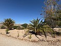 Moderne autarke Villa mit Pool in Biar in Spanish Fincas