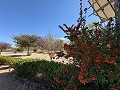 Moderne autarke Villa mit Pool in Biar in Spanish Fincas