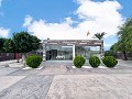 Luxusvilla mit Sommerküche 15 Minuten von Elche entfernt in Spanish Fincas