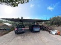 Luxusvilla mit Sommerküche 15 Minuten von Elche entfernt in Spanish Fincas