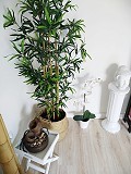 Volledig gerenoveerd appartement, klaar om in te trekken in de stad Alicante in Spanish Fincas