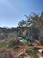 Spiritual retreat in Sax with endless possibilities in Spanish Fincas