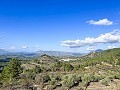 Rustic Farmhouse with Pool and Land in Torremanzanas in Spanish Fincas