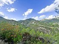 Rustic Farmhouse with Pool and Land in Torremanzanas in Spanish Fincas