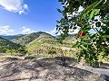 Rustic Farmhouse with Pool and Land in Torremanzanas in Spanish Fincas