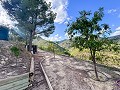 Rustic Farmhouse with Pool and Land in Torremanzanas in Spanish Fincas
