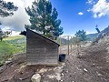 Rustic Farmhouse with Pool and Land in Torremanzanas in Spanish Fincas