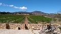Cozy Rustic Home with Pool and Panoramic Views with possibility for B&B in Spanish Fincas