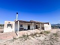 Finca with more than 20,000 m² of land with extensive possibilities in Spanish Fincas
