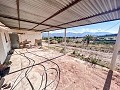 Finca with more than 20,000 m² of land with extensive possibilities in Spanish Fincas