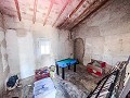 Finca with more than 20,000 m² of land with extensive possibilities in Spanish Fincas