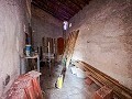 Finca with more than 20,000 m² of land with extensive possibilities in Spanish Fincas