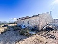 Finca with more than 20,000 m² of land with extensive possibilities in Spanish Fincas
