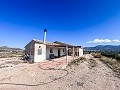 Finca with more than 20,000 m² of land with extensive possibilities in Spanish Fincas