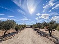 Stunning key ready new build villa with guest house, garage and summer kitchen! in Spanish Fincas