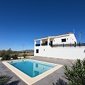 Incredible key read new build with huge underbuild and pool in Spanish Fincas