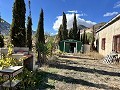 4 Bedroom house with Olive Grove on private road, close to Town. in Spanish Fincas