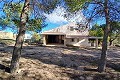 Nice Off grid 6 Bed 1 Bath country property with pool and large plot in Caudete in Spanish Fincas